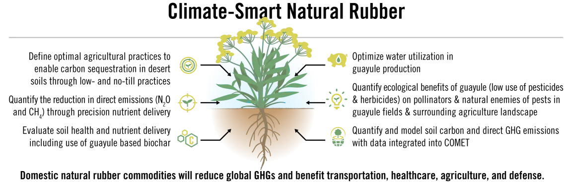 climate smart rubber